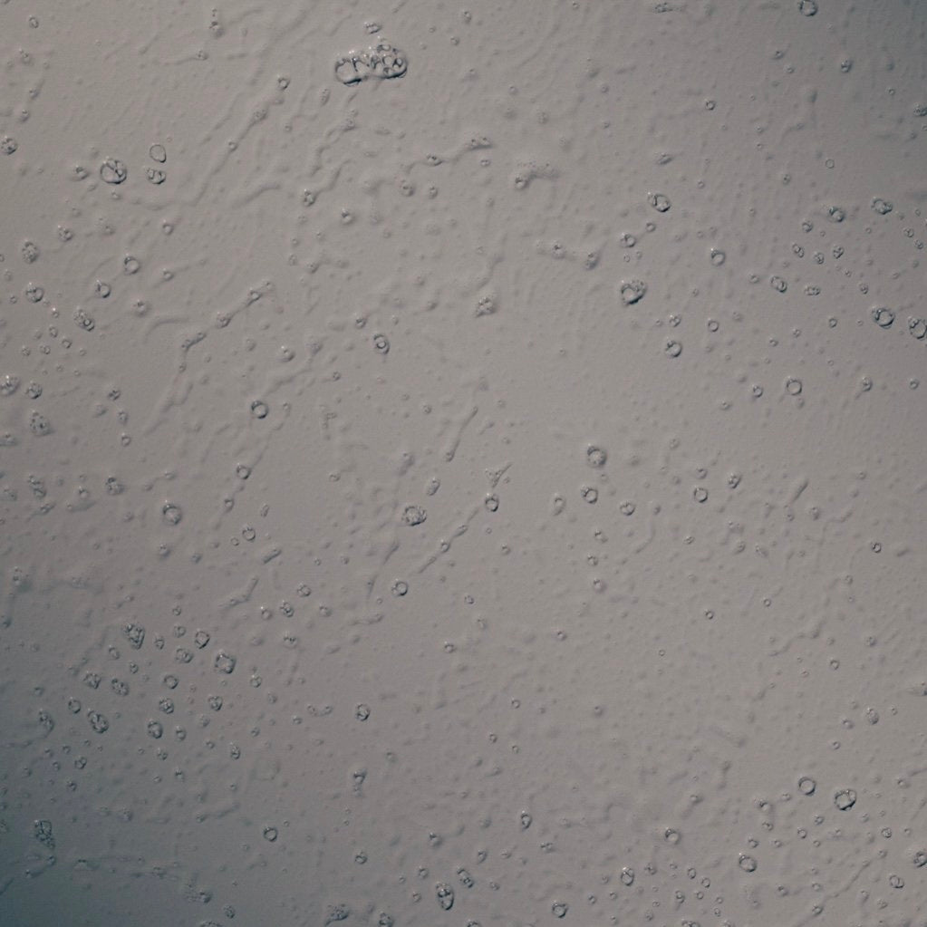 Spray first, shape second.